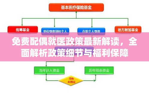 免費配偶就醫(yī)政策最新解讀，全面解析政策細節(jié)與福利保障