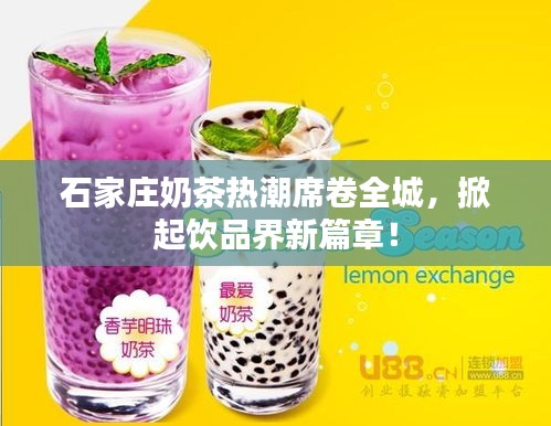 石家莊奶茶熱潮席卷全城，掀起飲品界新篇章！