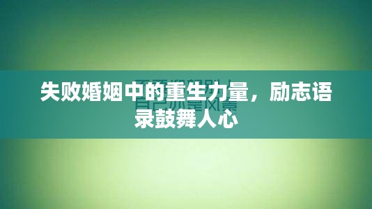 失敗婚姻中的重生力量，勵(lì)志語錄鼓舞人心