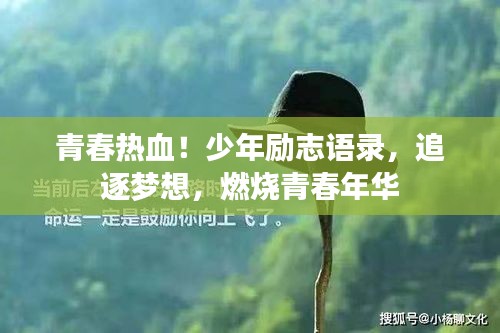 青春熱血！少年勵(lì)志語錄，追逐夢想，燃燒青春年華