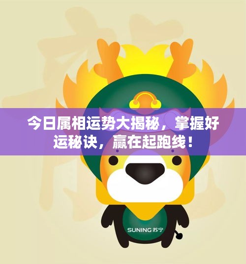 今日屬相運勢大揭秘，掌握好運秘訣，贏在起跑線！