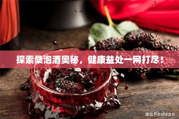 探索桑泡酒奧秘，健康益處一網(wǎng)打盡！