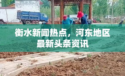 衡水新聞熱點(diǎn)，河?xùn)|地區(qū)最新頭條資訊