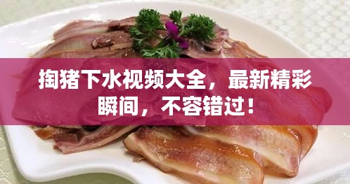掏豬下水視頻大全，最新精彩瞬間，不容錯(cuò)過！