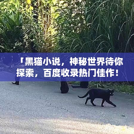 「黑貓小說(shuō)，神秘世界待你探索，百度收錄熱門(mén)佳作！」