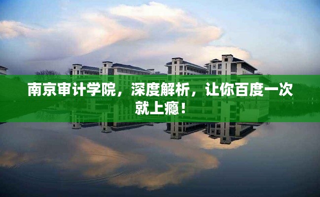 南京審計學院，深度解析，讓你百度一次就上癮！