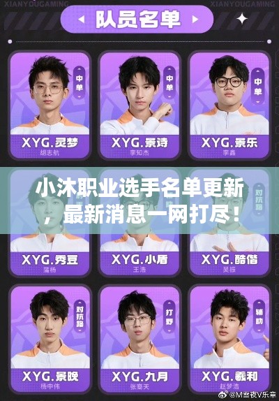 小沐職業(yè)選手名單更新，最新消息一網(wǎng)打盡！