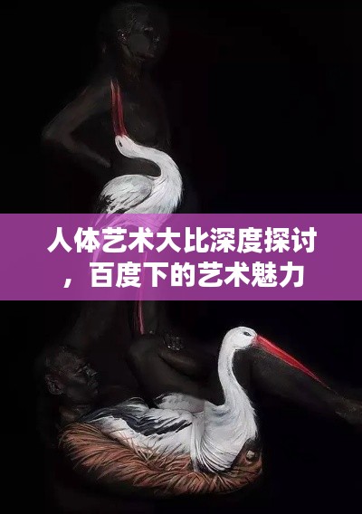 人體藝術(shù)大比深度探討，百度下的藝術(shù)魅力