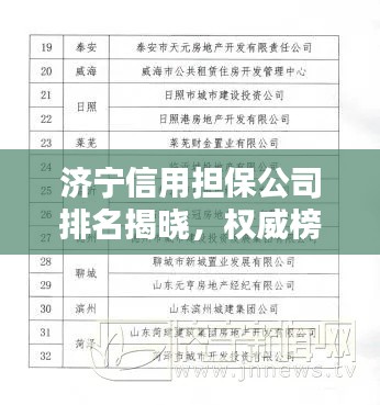 濟(jì)寧信用擔(dān)保公司排名揭曉，權(quán)威榜單助你快速了解行業(yè)佼佼者