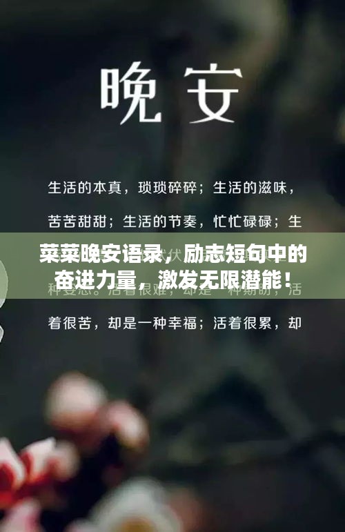 菜菜晚安語錄，勵(lì)志短句中的奮進(jìn)力量，激發(fā)無限潛能！