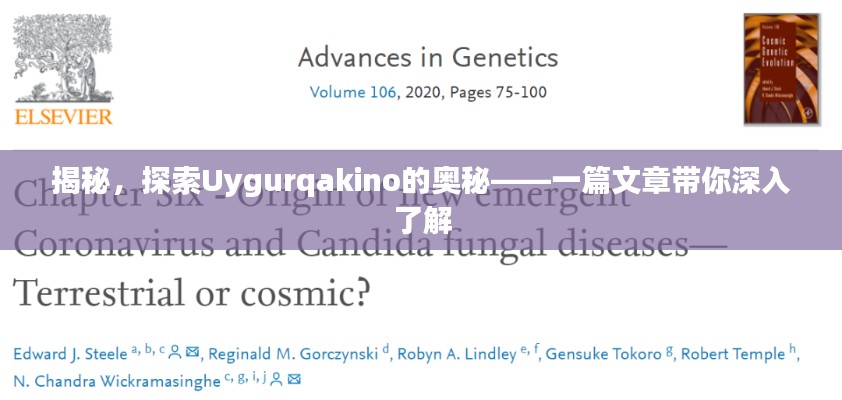 揭秘，探索Uygurqakino的奧秘——一篇文章帶你深入了解