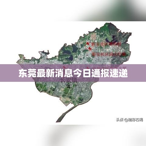 東莞最新消息今日通報速遞