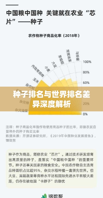 種子排名與世界排名差異深度解析