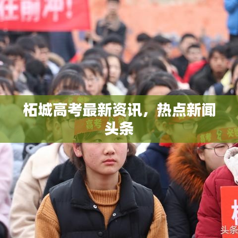 柘城高考最新資訊，熱點新聞頭條