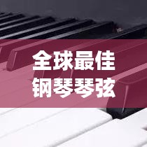 全球最佳鋼琴琴弦排行榜TOP推薦
