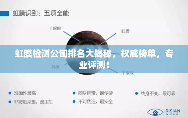 虹膜檢測公司排名大揭秘，權(quán)威榜單，專業(yè)評測！