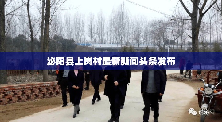 泌陽縣上崗村最新新聞頭條發(fā)布