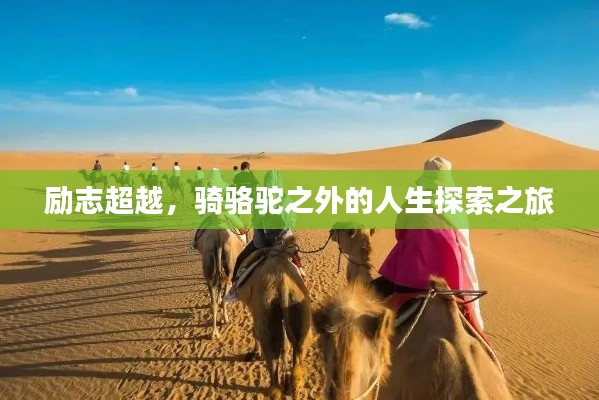 勵(lì)志超越，騎駱駝之外的人生探索之旅
