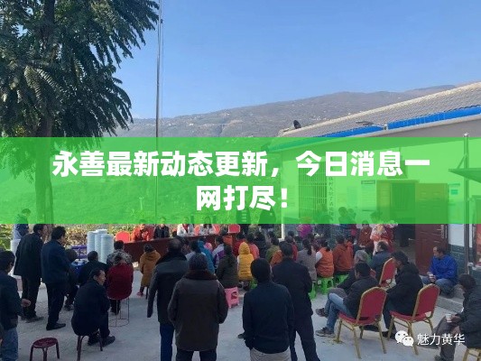 永善最新動(dòng)態(tài)更新，今日消息一網(wǎng)打盡！