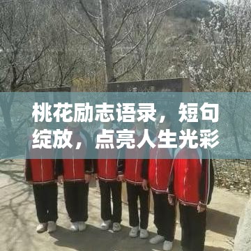 桃花勵(lì)志語(yǔ)錄，短句綻放，點(diǎn)亮人生光彩