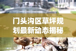 門頭溝區(qū)草坪規(guī)劃最新動態(tài)揭秘，國內(nèi)草坪規(guī)劃趨勢與展望