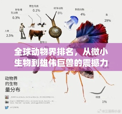 2025年4月15日 第5頁