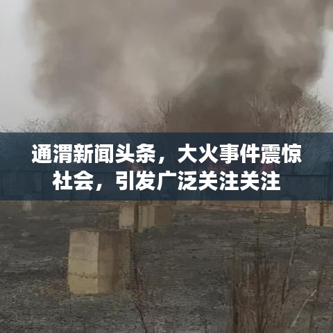 通渭新聞頭條，大火事件震驚社會，引發(fā)廣泛關(guān)注關(guān)注
