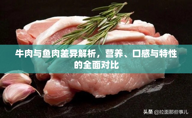 牛肉與魚肉差異解析，營(yíng)養(yǎng)、口感與特性的全面對(duì)比