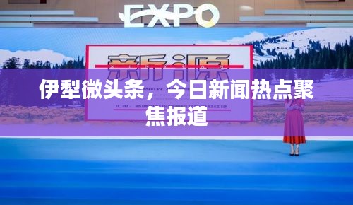 伊犁微頭條，今日新聞熱點聚焦報道