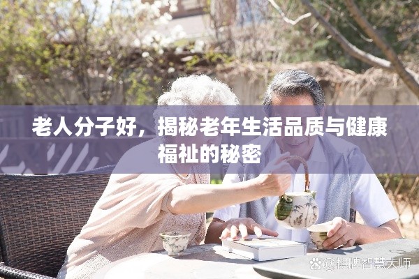 老人分子好，揭秘老年生活品質(zhì)與健康福祉的秘密