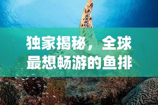 黑天摸地