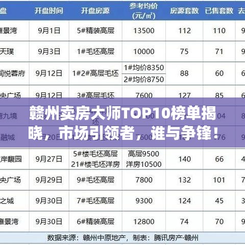 贛州賣房大師TOP10榜單揭曉，市場(chǎng)引領(lǐng)者，誰與爭(zhēng)鋒！