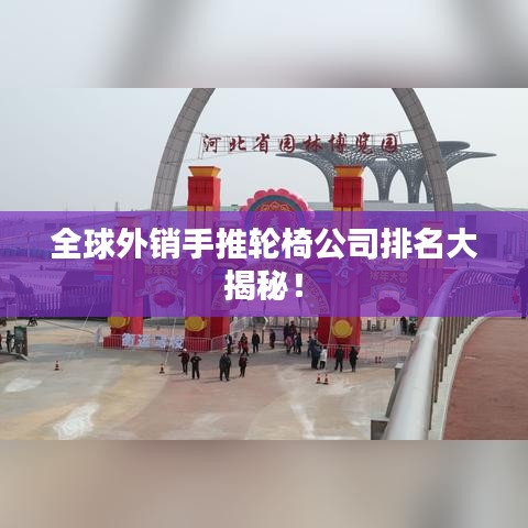 全球外銷手推輪椅公司排名大揭秘！