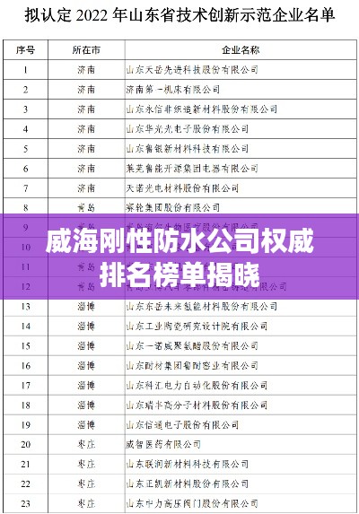 威海剛性防水公司權(quán)威排名榜單揭曉