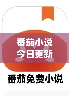番茄小說(shuō)今日更新動(dòng)態(tài)速遞