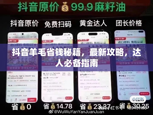 抖音羊毛省錢秘籍，最新攻略，達(dá)人必備指南