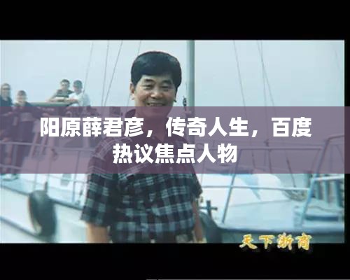 陽原薛君彥，傳奇人生，百度熱議焦點人物