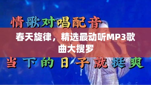 春天旋律，精選最動聽MP3歌曲大搜羅