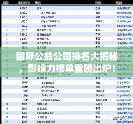 國際公益公司排名大揭秘，影響力榜單重磅出爐！