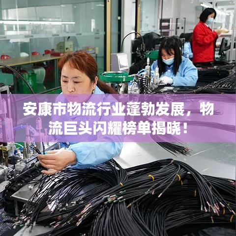 安康市物流行業(yè)蓬勃發(fā)展，物流巨頭閃耀榜單揭曉！