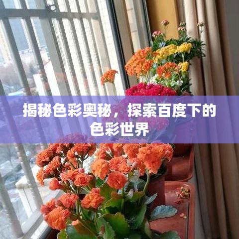 揭秘色彩奧秘，探索百度下的色彩世界