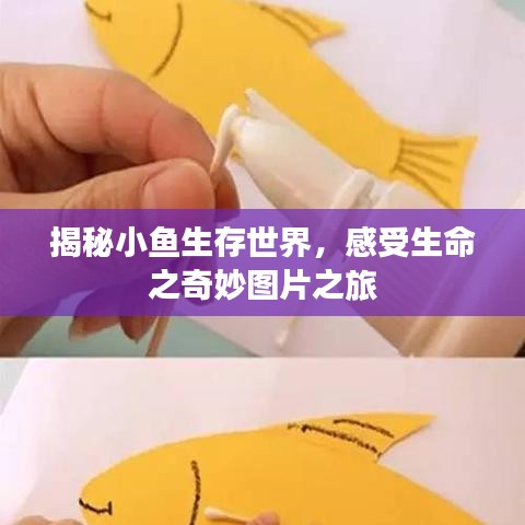 揭秘小魚生存世界，感受生命之奇妙圖片之旅