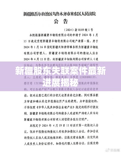 新疆股東失聯(lián)案件最新進展揭秘