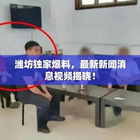 濰坊獨家爆料，最新新聞消息視頻揭曉！