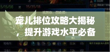 寵兒排位攻略大揭秘，提升游戲水平必備指南！