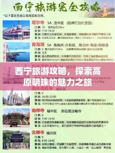 西寧旅游攻略，探索高原明珠的魅力之旅