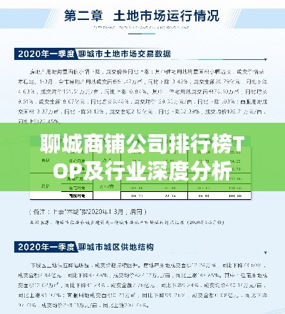 聊城商鋪公司排行榜TOP及行業(yè)深度分析
