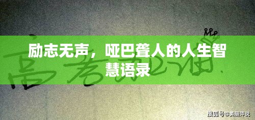 秀外慧中