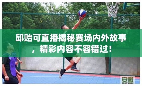 飛揚(yáng)撥扈