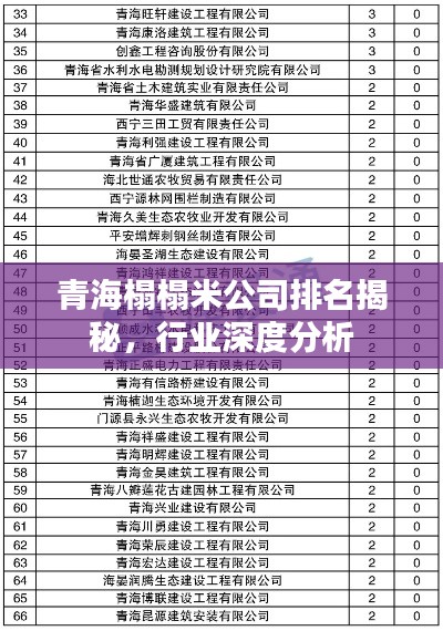 青海榻榻米公司排名揭秘，行業(yè)深度分析